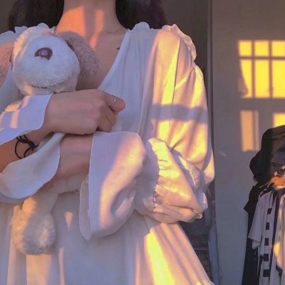 凡妮莎海辛第五季